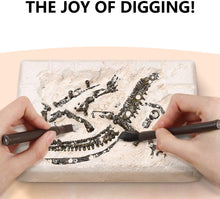 Load image into Gallery viewer, 10Leccion Dinosaur Fossil Digging Kit for Kids, Dig It Up! Dinosaur Eggs Excavation Kit, Dino Fossil Dig Kit, Great STEM Science Kit Gift for Paleontology and Archeology Enthusiasts of Any Age
